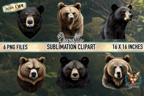 Download Realistic Bear Graphic Bundle - Bear graphic Collection